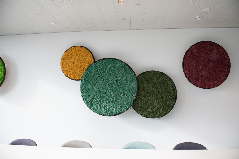 Aménagements pour bureau - revêtement mural G-CIRCLE - GREEN MOOD