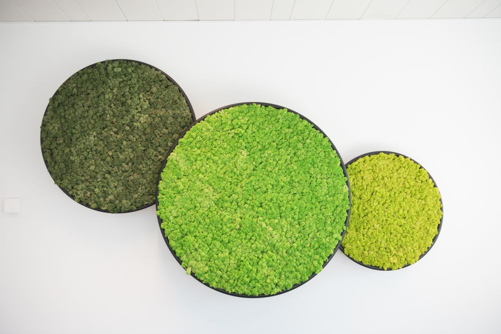 Aménagements pour bureau - revêtement mural G-CIRCLE - GREEN MOOD