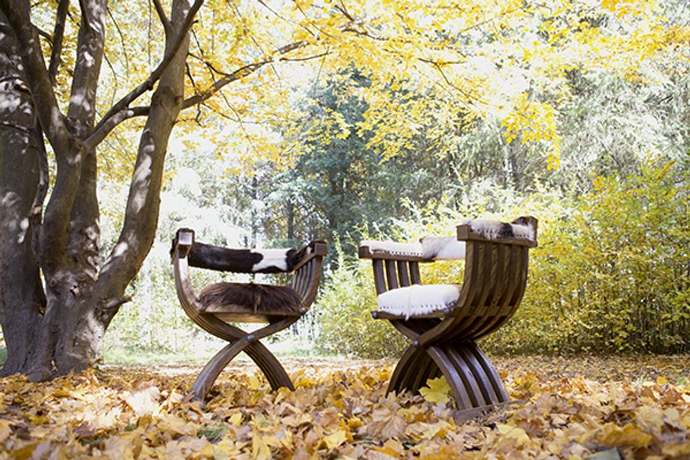 Fauteuils - Fauteuil Sauvage - HYGGE DESIGN