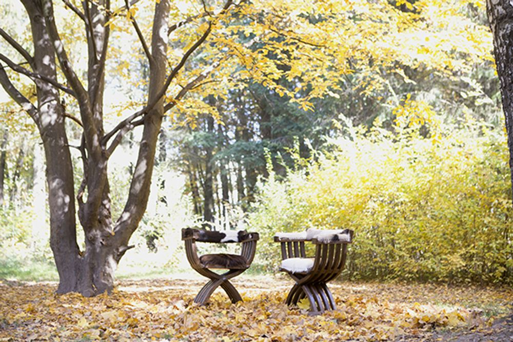 Fauteuils - Fauteuil Sauvage - HYGGE DESIGN