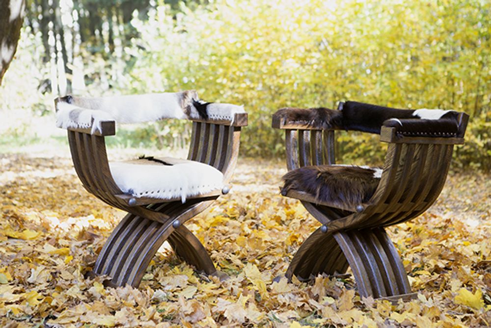 Fauteuils - Fauteuil Sauvage - HYGGE DESIGN