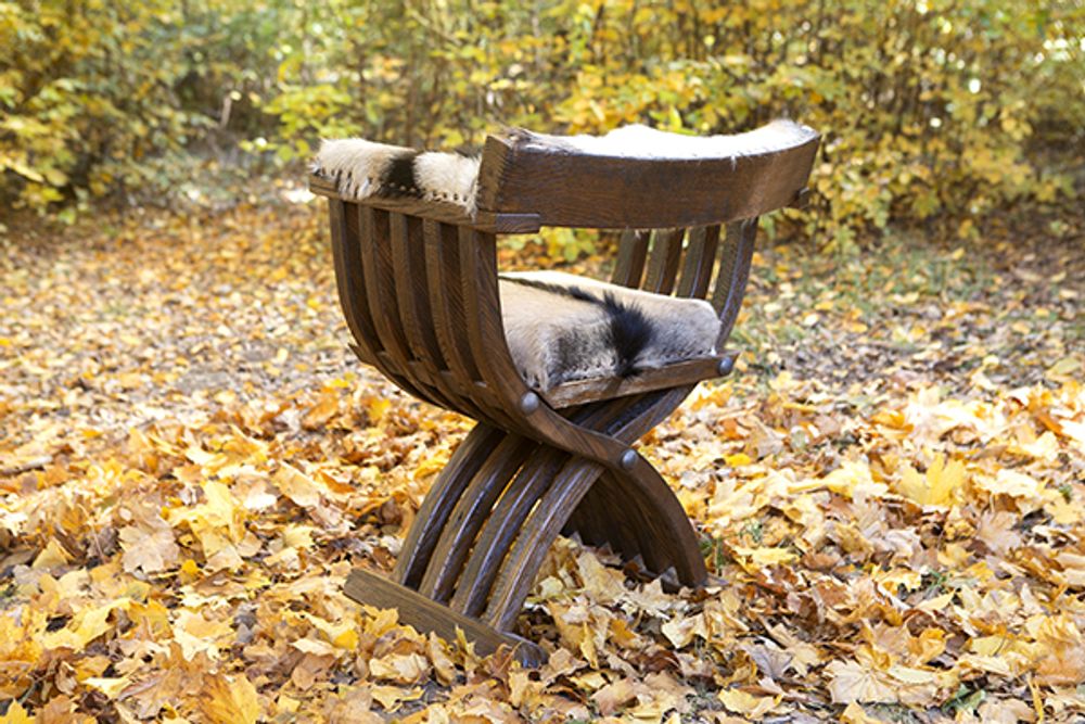 Fauteuils - Fauteuil Sauvage - HYGGE DESIGN