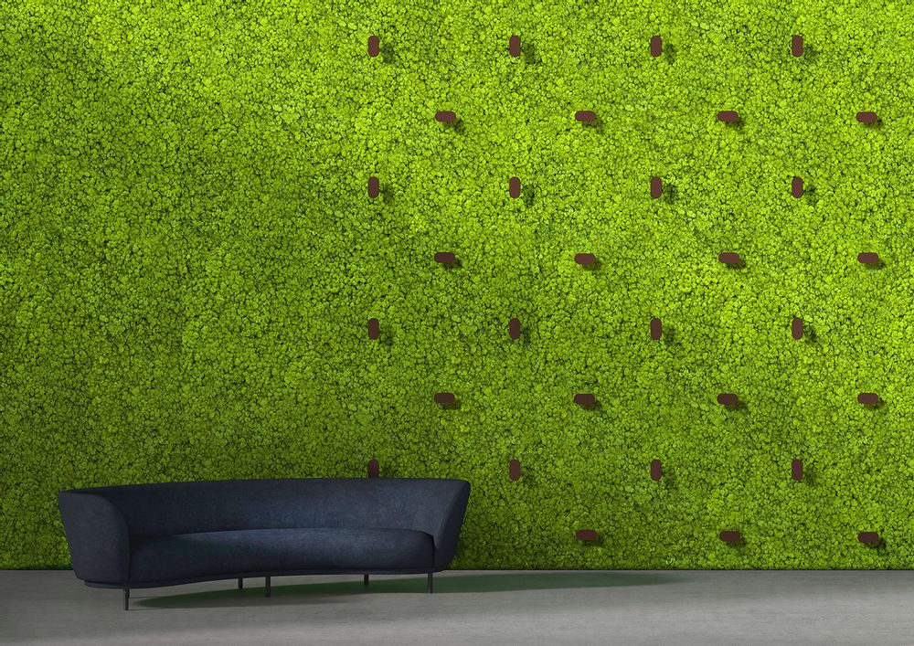 Aménagements pour bureau - Mur vert scintillant - GREEN MOOD