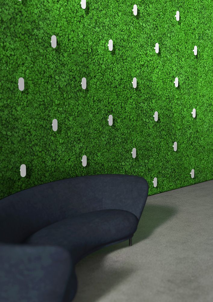 Aménagements pour bureau - Mur vert scintillant - GREEN MOOD