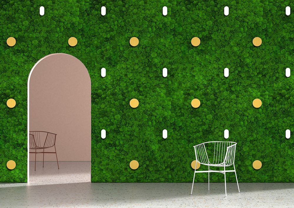 Aménagements pour bureau - Mur vert scintillant - GREEN MOOD