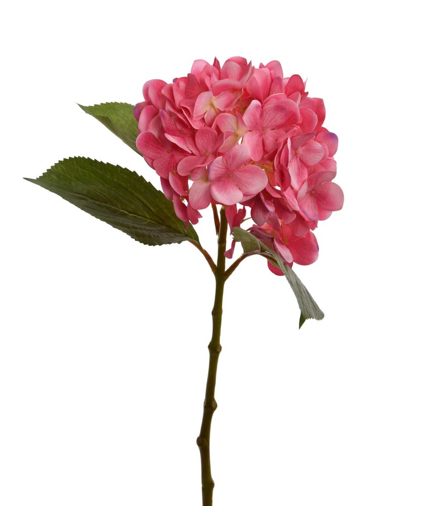 Décorations florales - Fleurs artificielles - JASACO / PURE ROYAL / BELGIUM