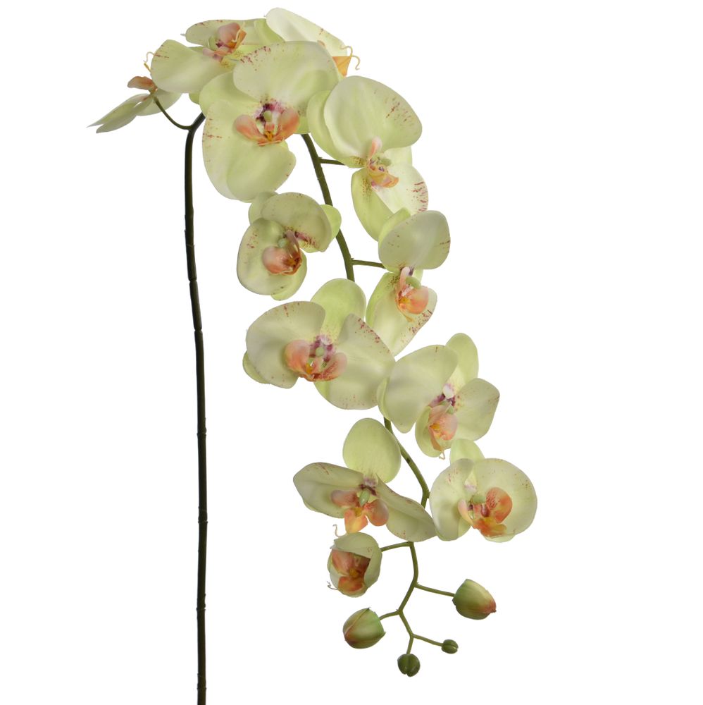 Décorations florales - Fleurs artificielles - JASACO / PURE ROYAL / BELGIUM