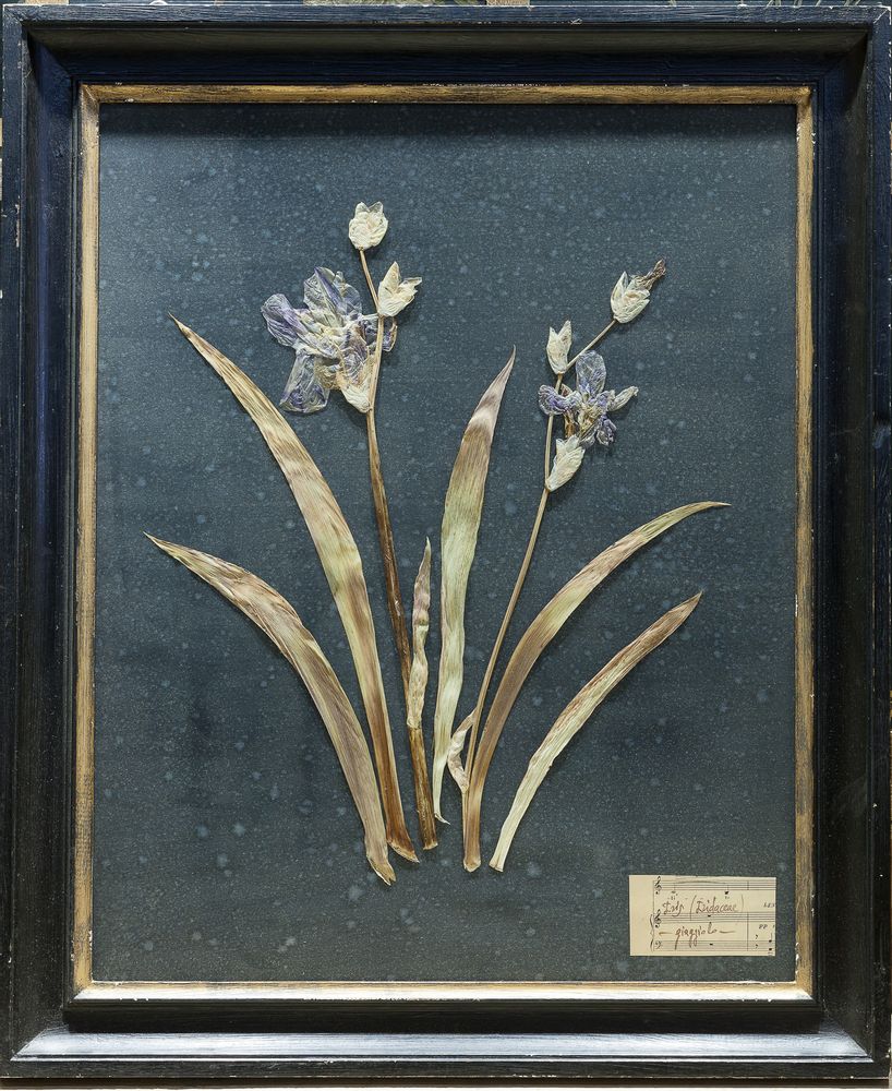 Decorative objects - Decoration Objects - OFFICINA NATURALIS