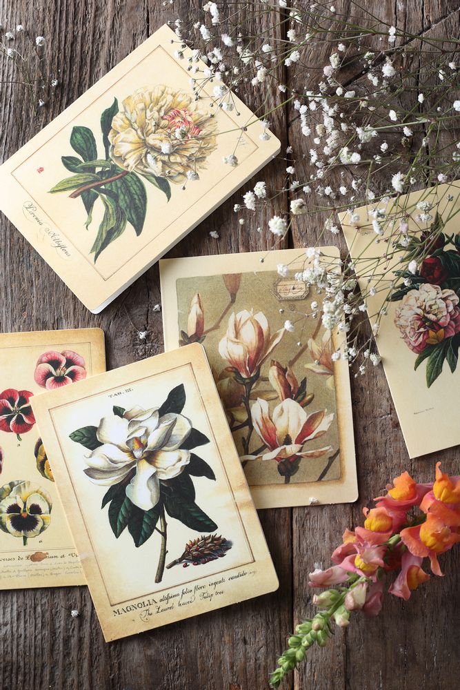 Gifts - Greeting Cards - BOMO ART BUDAPEST