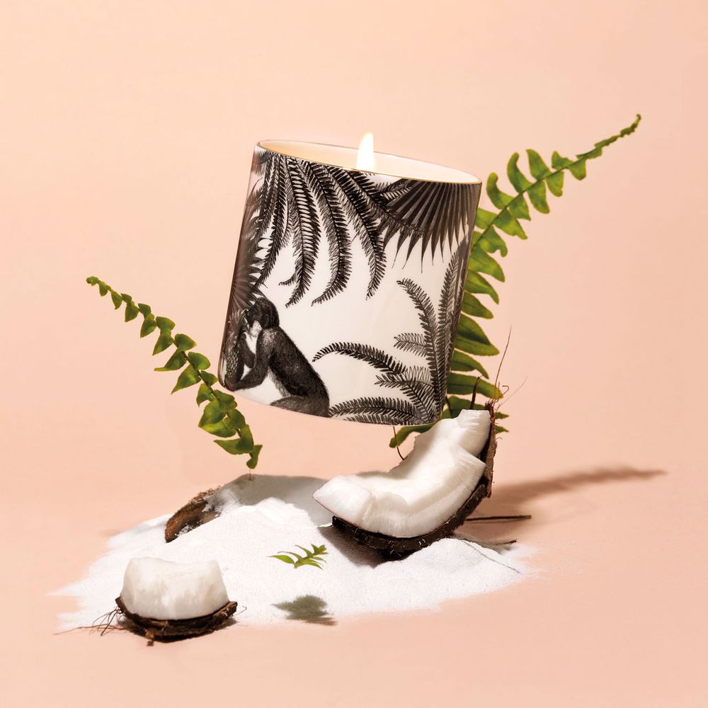 Candles - Illustrated Scent - Luxury Scented Candles & Reed Diffusers - CHASE AND WONDER