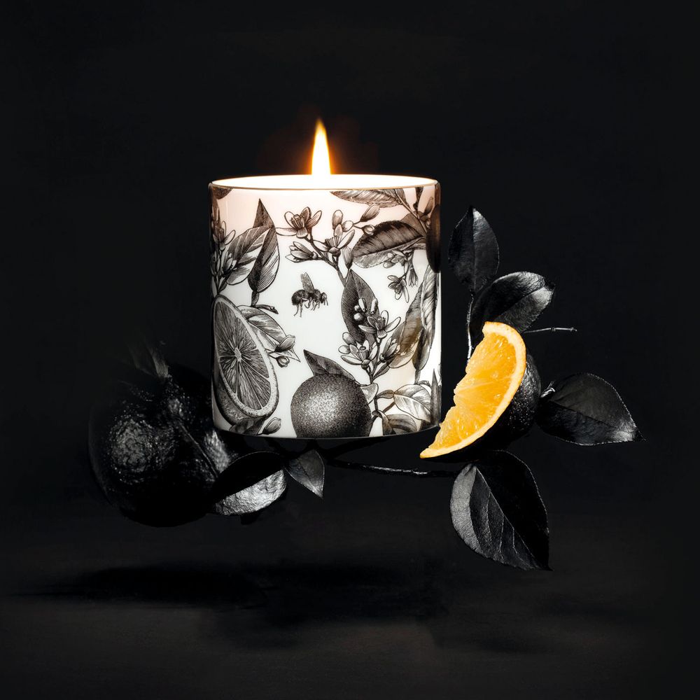 Candles - Illustrated Scent - Luxury Scented Candles & Reed Diffusers - CHASE AND WONDER