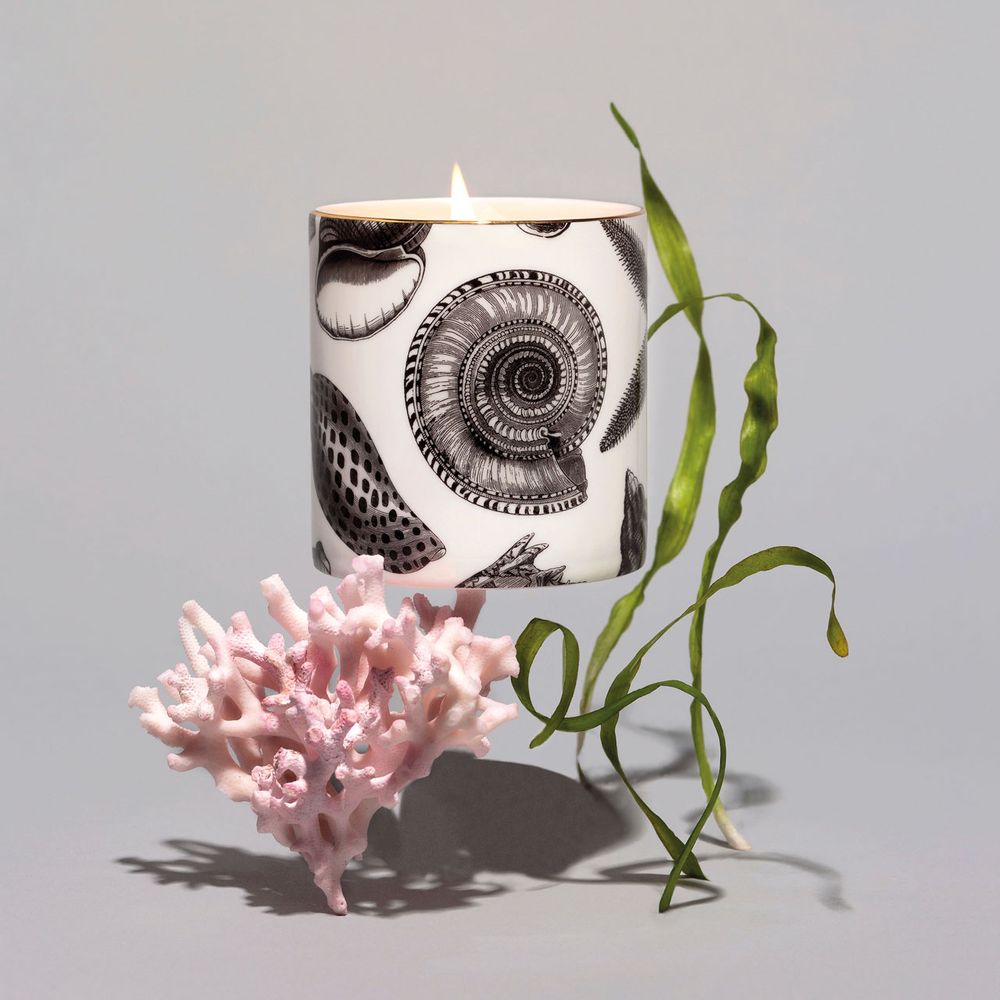 Candles - Illustrated Scent - Luxury Scented Candles & Reed Diffusers - CHASE AND WONDER