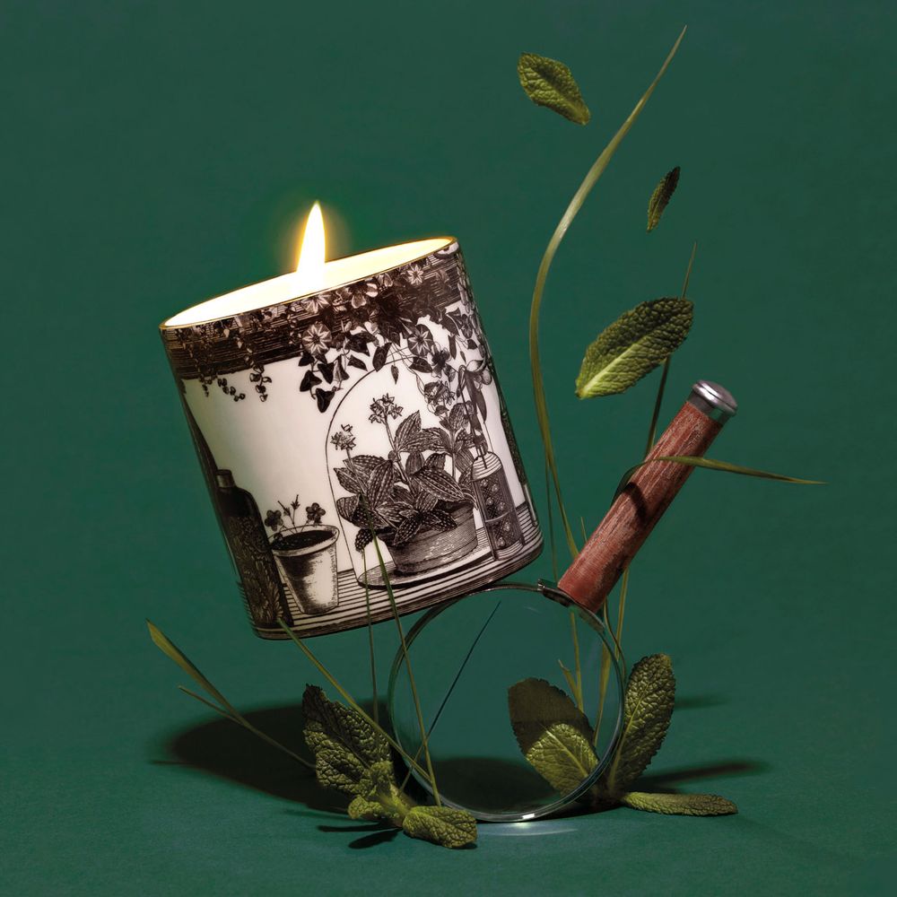 Candles - Illustrated Scent - Luxury Scented Candles & Reed Diffusers - CHASE AND WONDER