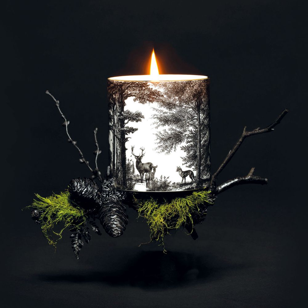 Candles - Illustrated Scent - Luxury Scented Candles & Reed Diffusers - CHASE AND WONDER