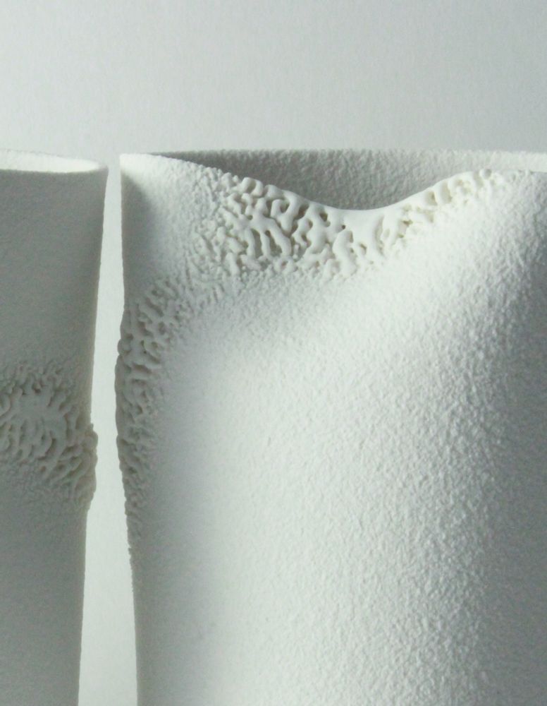 Céramique - Infection, 2019 - WENQI LIU