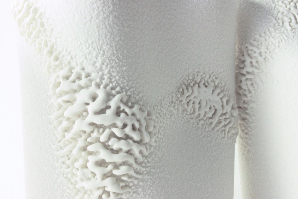 Céramique - Infection, 2019 - WENQI LIU