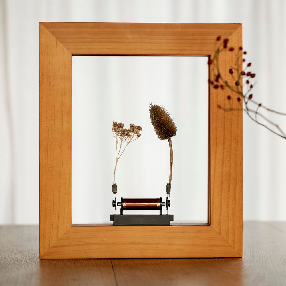 Objets design - Cadre Photo Slow Dance ( Craft Pine ) - Light sculpture - WONDER MACHINES