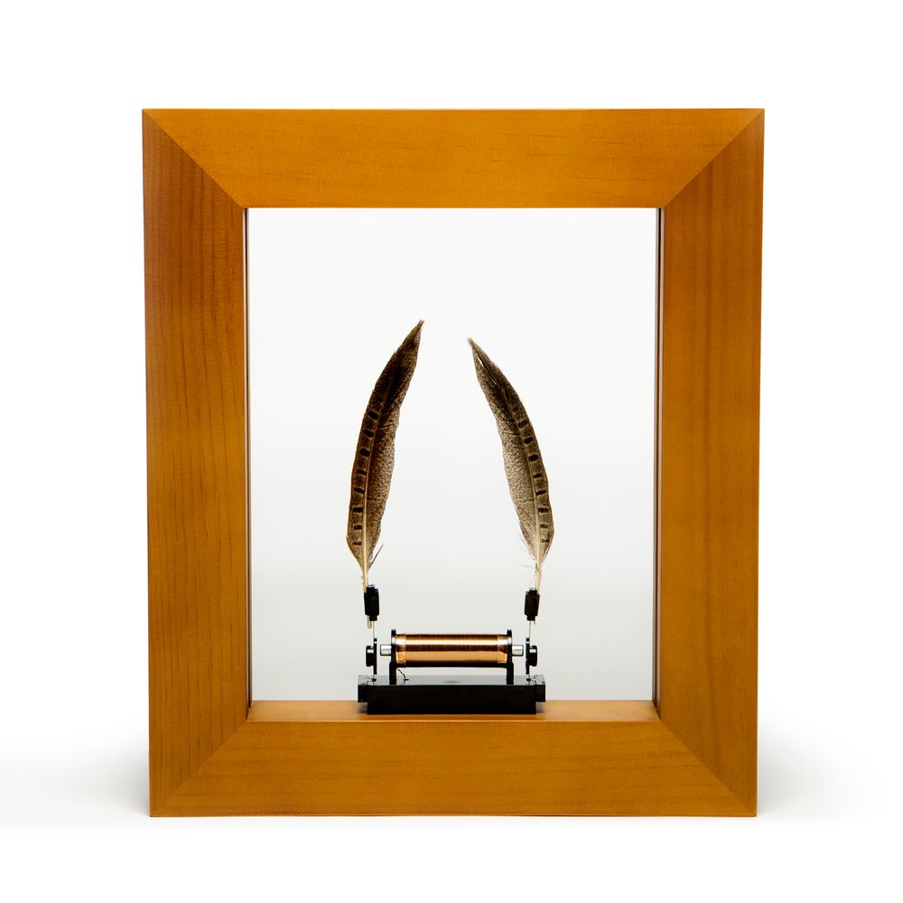 Objets design - Cadre Photo Slow Dance ( Craft Pine ) - Light sculpture - WONDER MACHINES