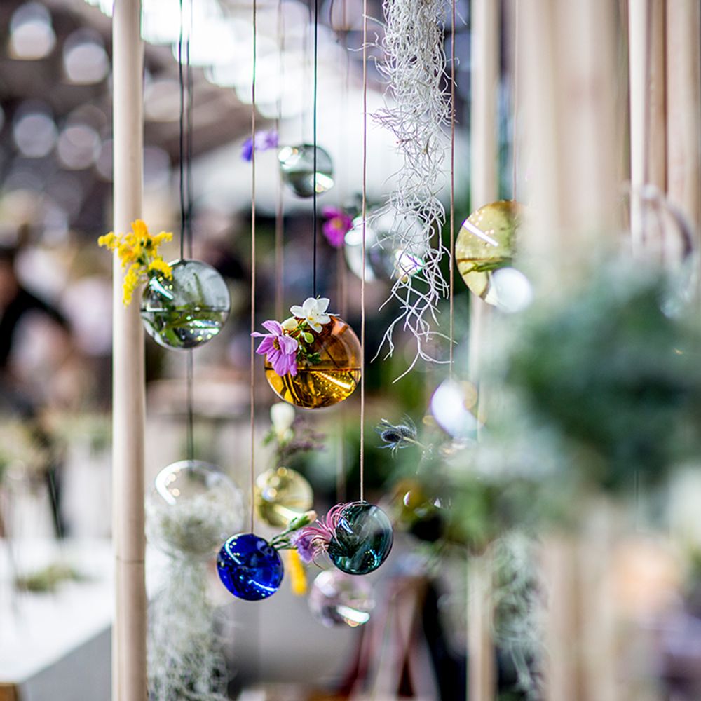 Vases - Flower and plant bubbles, hanging - STUDIO ABOUT