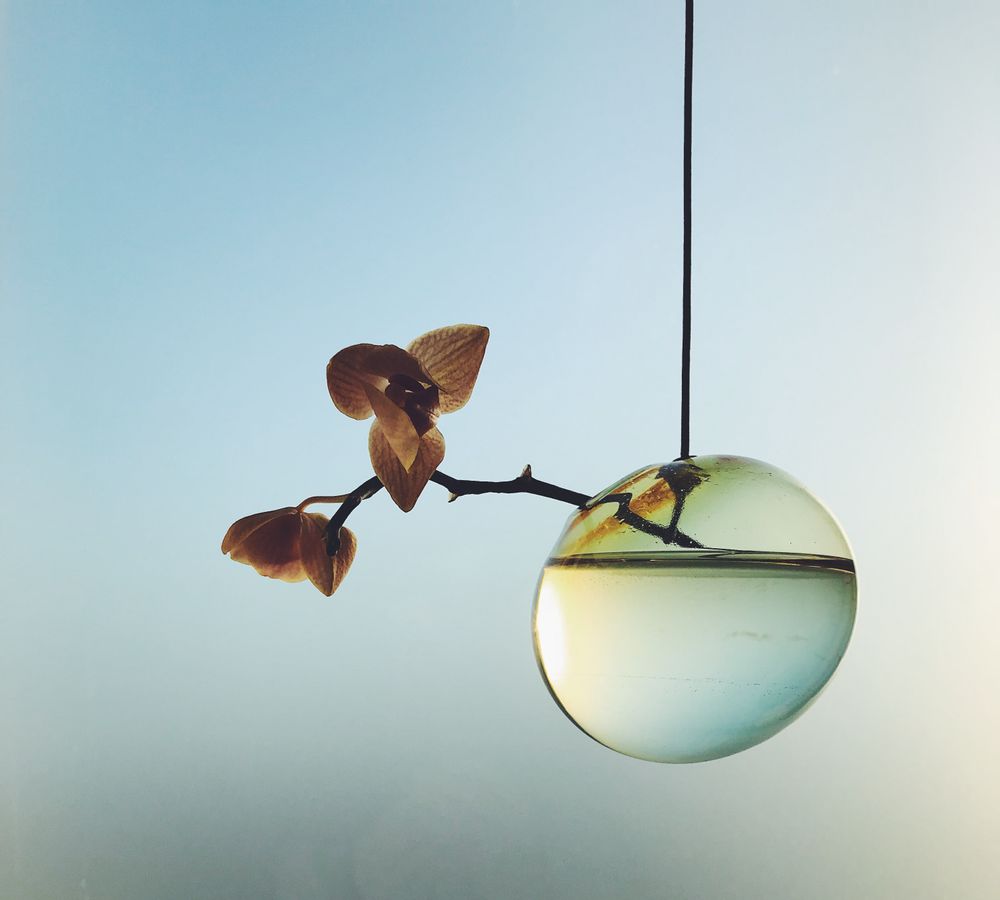 Vases - Flower and plant bubbles, hanging - STUDIO ABOUT