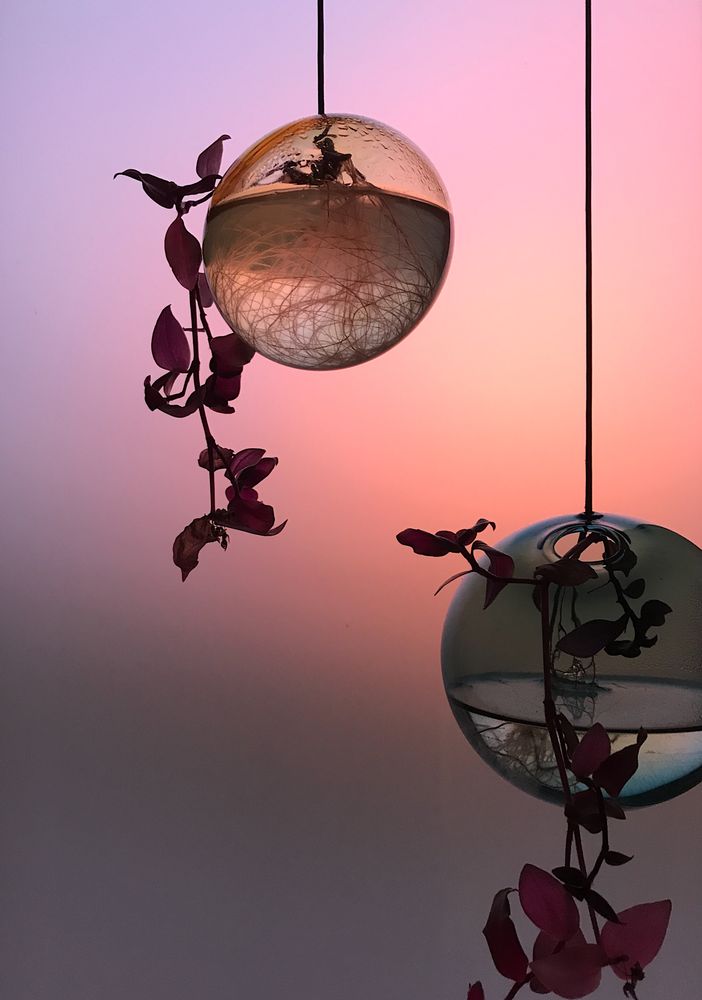 Vases - Flower and plant bubbles, hanging - STUDIO ABOUT