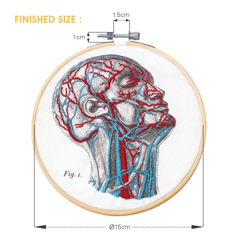 Children's arts and crafts - AFTER SCHOOL – DIY BLOOD VESSEL EMBROIDERY KITS - SCIENCE INTERNATIONAL CO., LTD