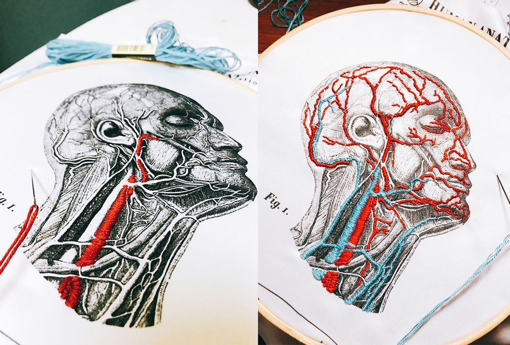 Children's arts and crafts - AFTER SCHOOL – DIY BLOOD VESSEL EMBROIDERY KITS - SCIENCE INTERNATIONAL CO., LTD