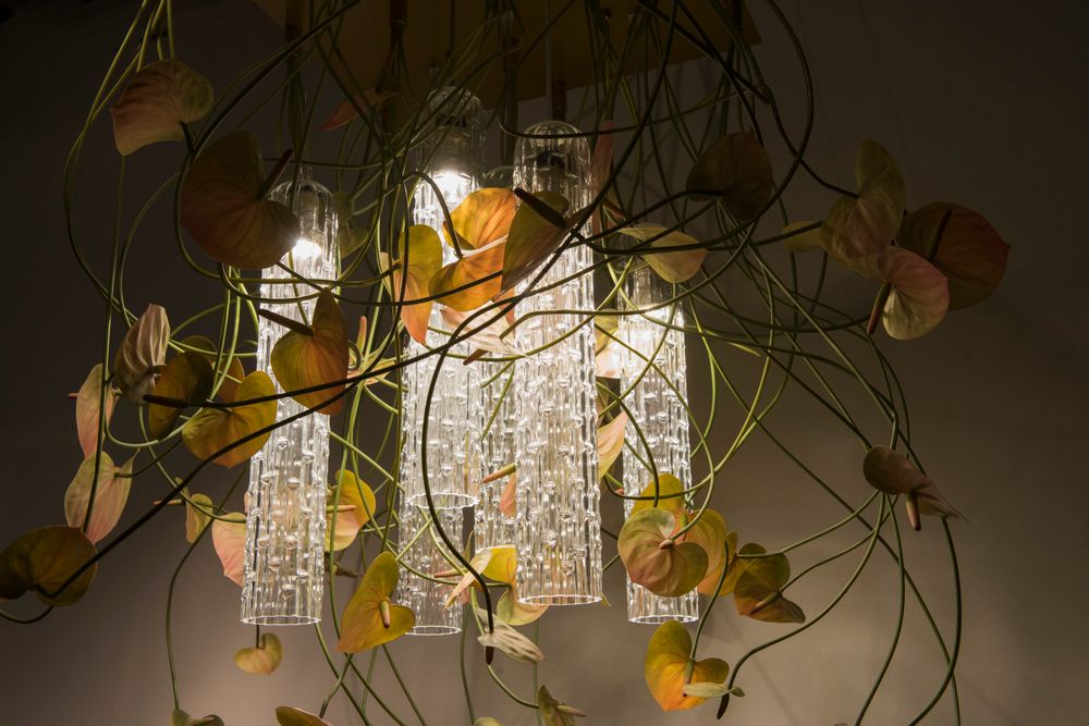 Design objects - Flower Power Lights - VG - VGNEWTREND