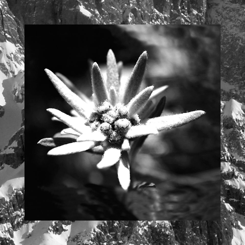 Tableaux - TOILES IMPRIMEES MULTI PHOTOS / MONTEES SUR CHASSIS CLOUTE/ COLLECTION MONTAGNE / AVEC CADRE OU SANS CADRE - LA MAISON DE GASPARD