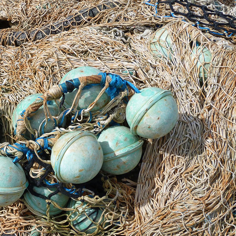 Frames - VINTAGE SEA WALL DECORATIONS - LA MAISON DE GASPARD
