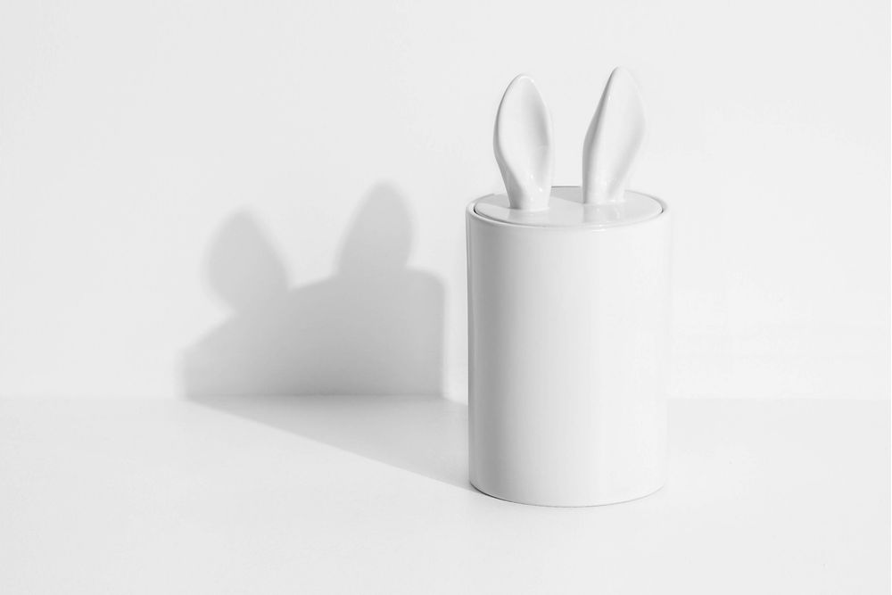 Objets design - CURIOSITY - PETITE FRITURE