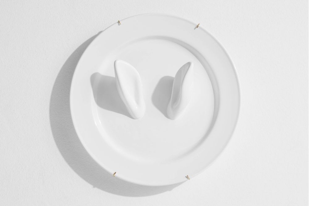 Objets design - CURIOSITY - PETITE FRITURE