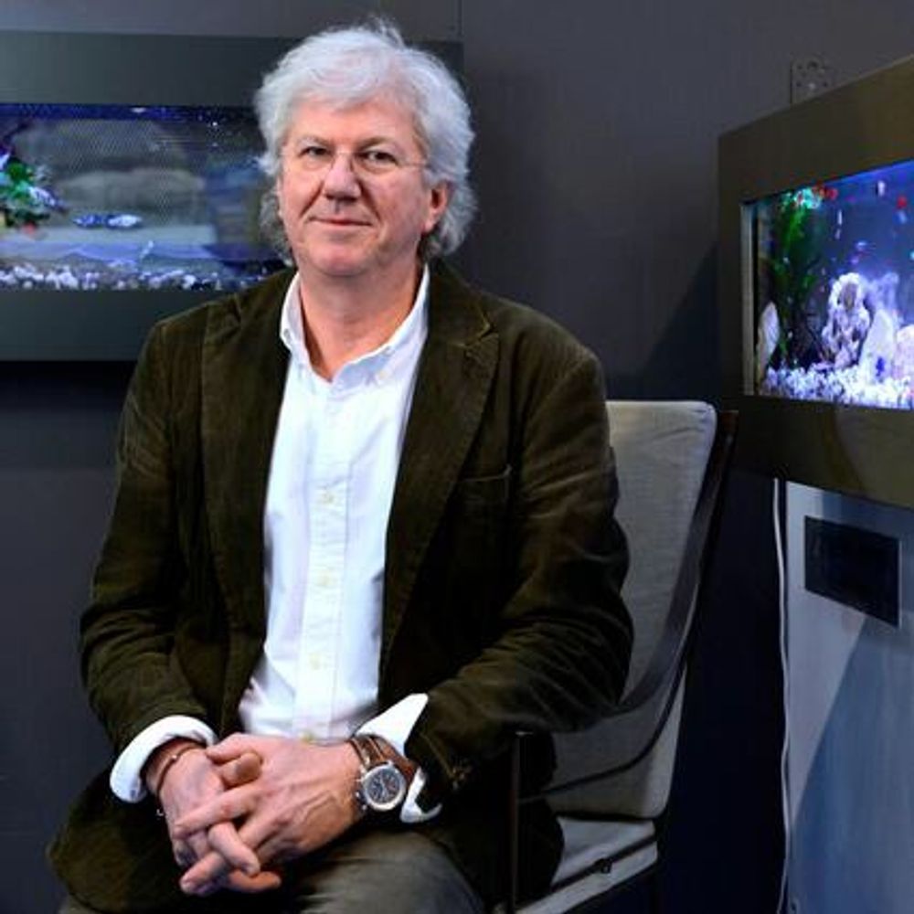 Autres décorations murales - AQUARIUM-3VIS-ION  - AQUARIUM-3VIS-ION