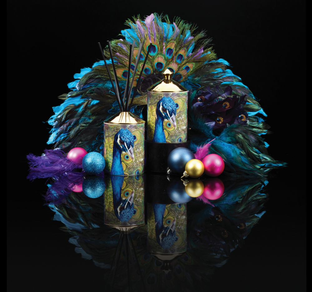 Parfums d'intérieur - WILD THINGS - ASHLEIGH & BURWOOD LTD