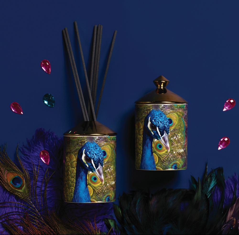 Parfums d'intérieur - WILD THINGS - ASHLEIGH & BURWOOD LTD
