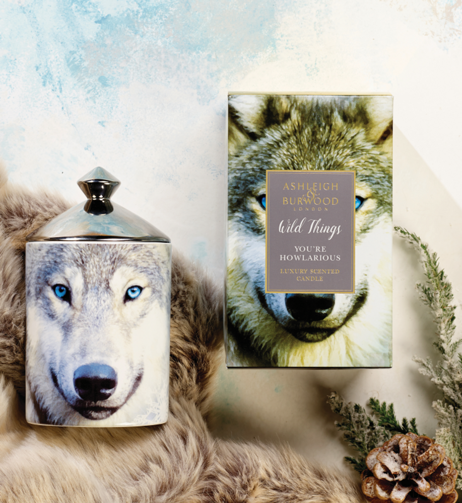 Parfums d'intérieur - WILD THINGS - ASHLEIGH & BURWOOD LTD