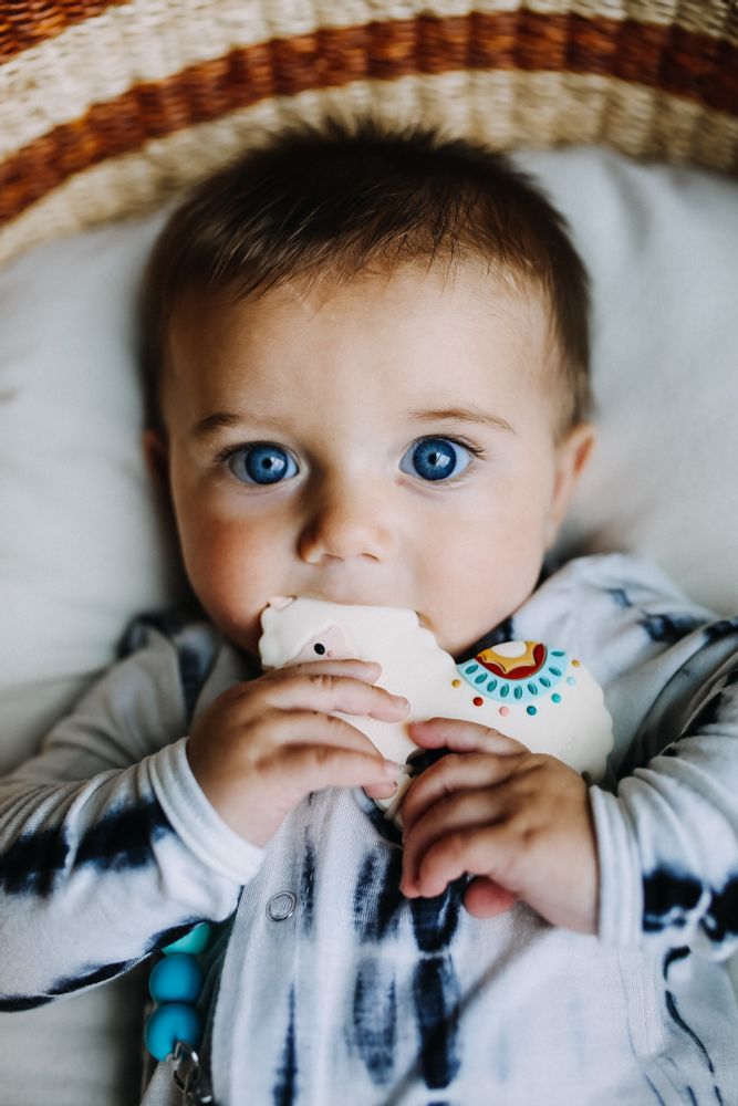 Toys - Llama Silicone Baby Teether - LOULOU LOLLIPOP