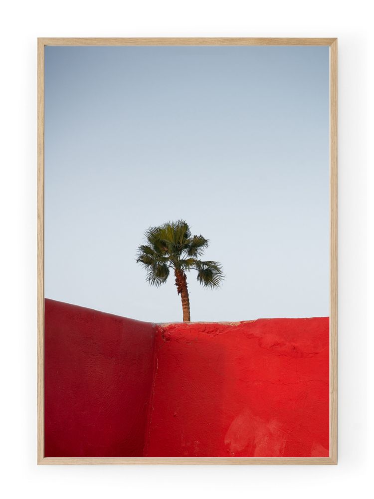 Affiches - TOIT MAROCAIN - DAVID & DAVID STUDIO