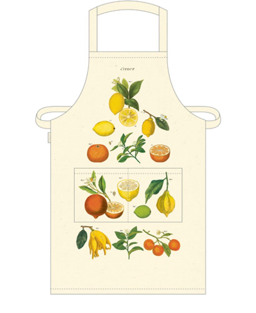 Aprons - Vibtage apron - CAVALLINI PAPER & CO.