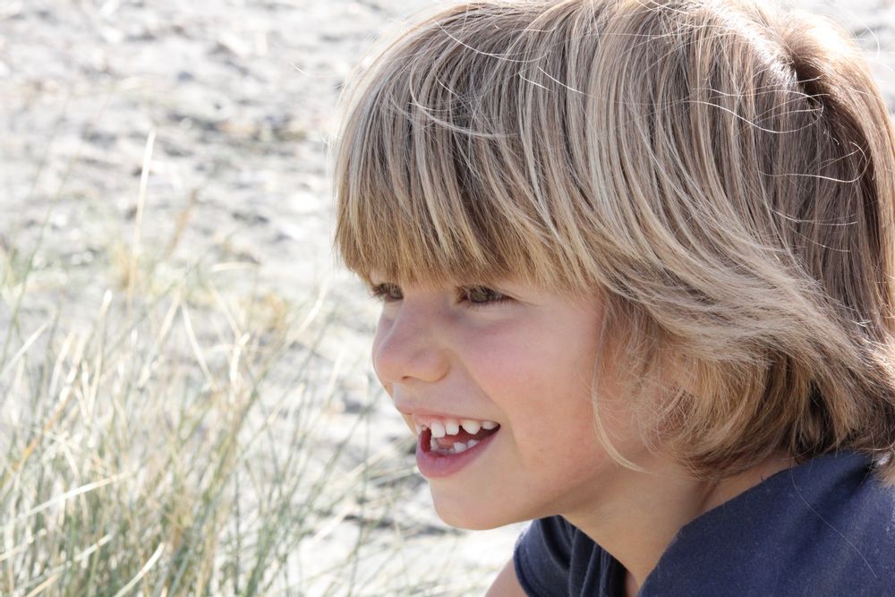 Cosmétiques - Dandydill Way Exceptional Hair Care  - DANDYDILL WAY