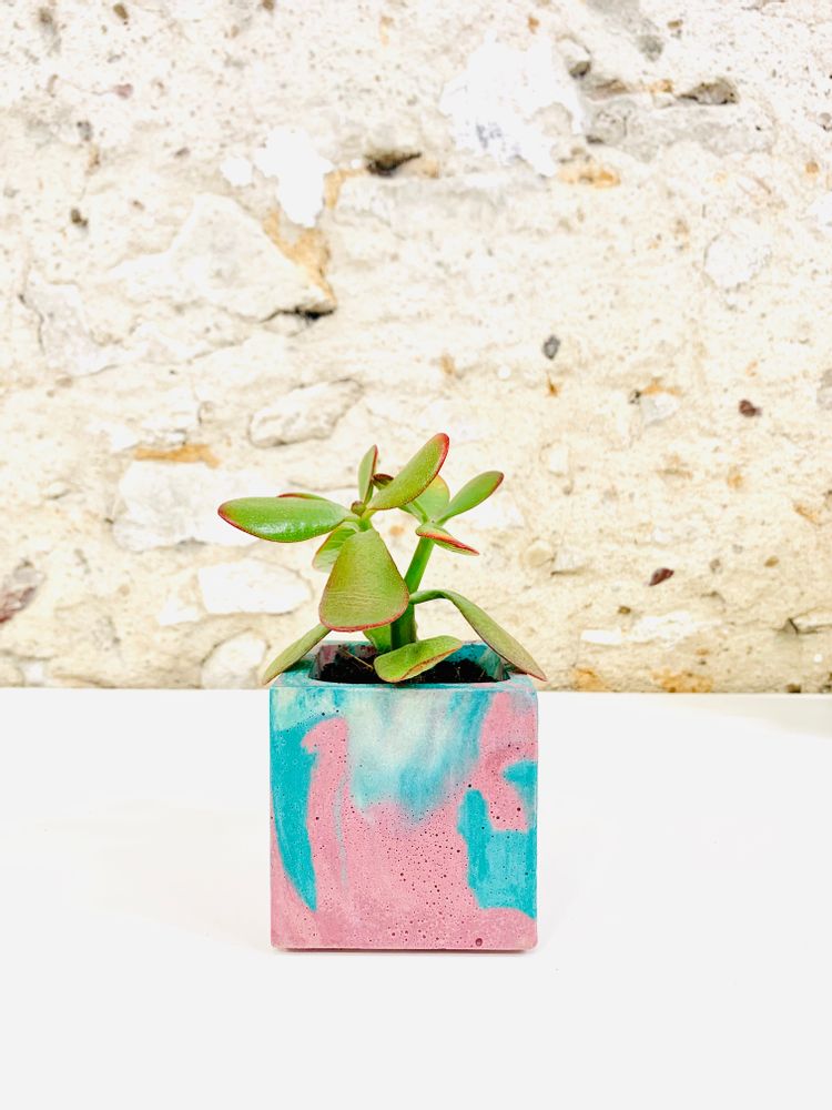 Decorative objects - Concrete Pot | Plant Pot | Marble Concrete - JUNNY