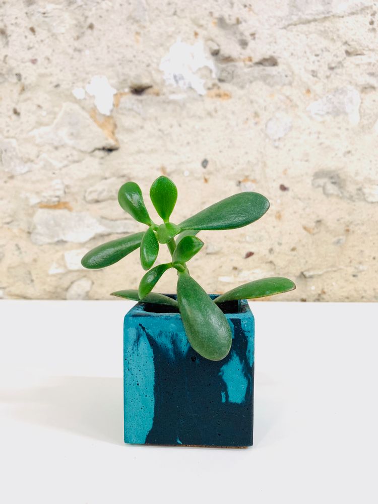 Decorative objects - Concrete Pot | Plant Pot | Marble Concrete - JUNNY