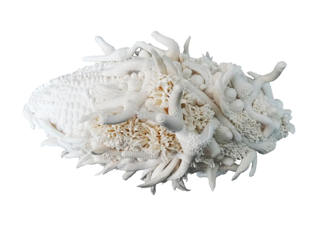 Jewelry - Fashion Accessories - Costume Jewellery Designer - TZURI GUETA