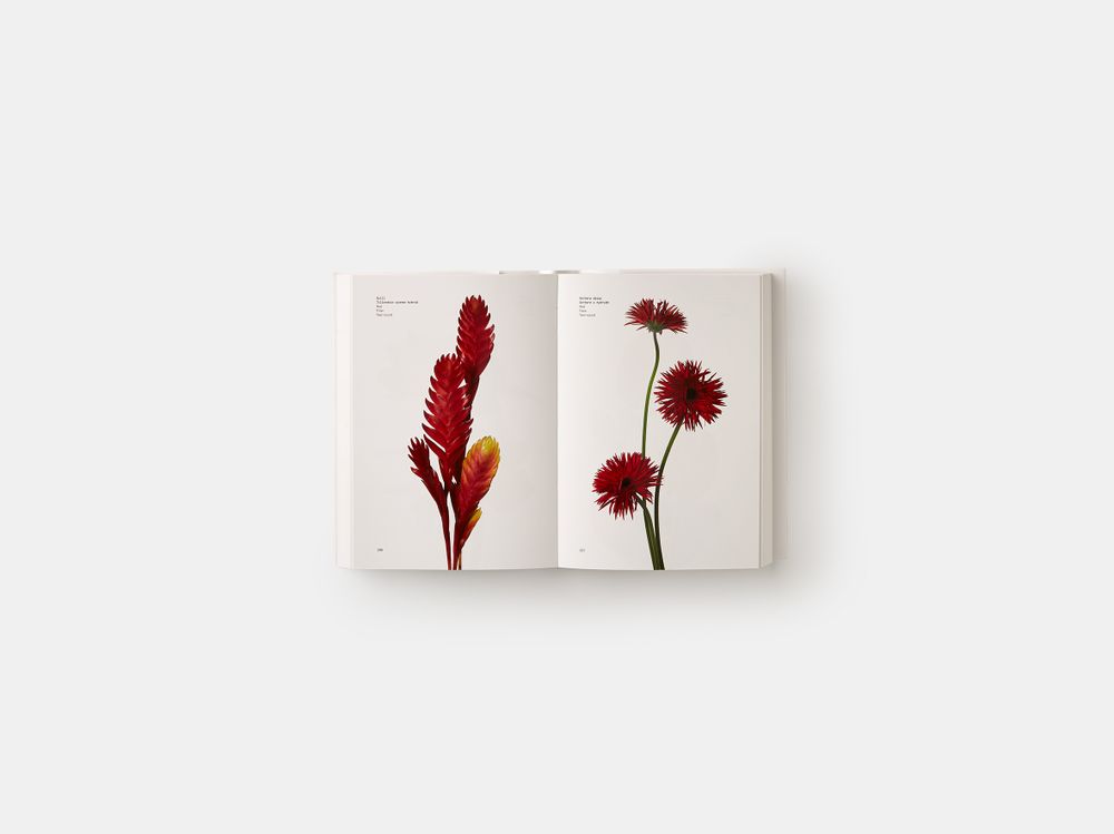 Objets de décoration - Flower Colour Guide - PHAIDON PRESS