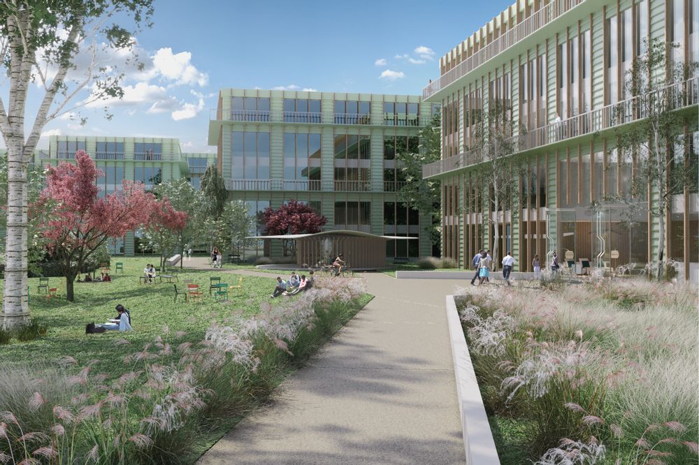 Decorative objects - 3D Images - Offices - MABE VISUAL