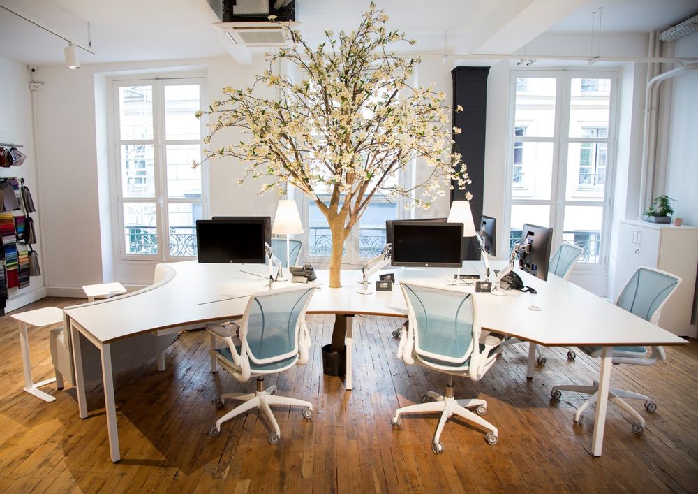 Tables Salle à Manger - BENCH ORGANIC - MOORE DESIGN -