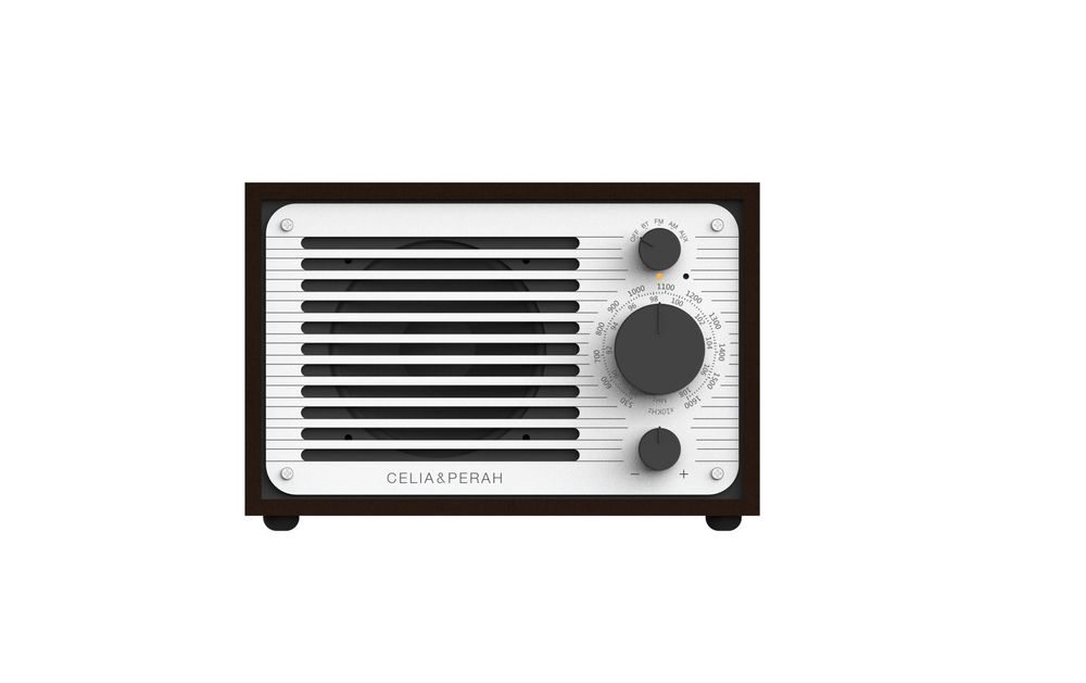Enceintes et radios - CELIA & PERAH _ DIY Bluetooth Radio - CELIA & PERAH