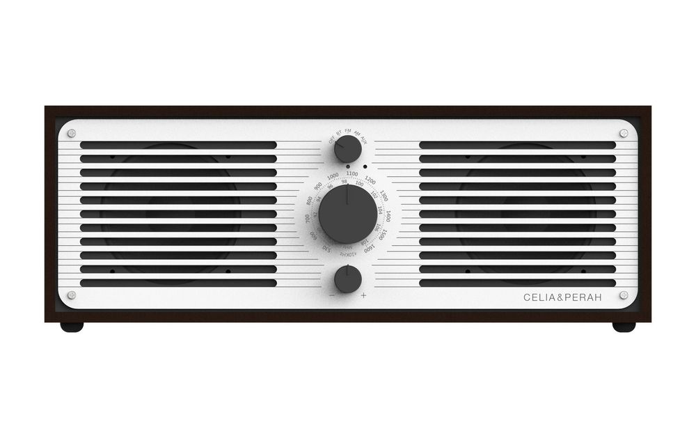 Enceintes et radios - CELIA & PERAH _ DIY Bluetooth Radio - CELIA & PERAH