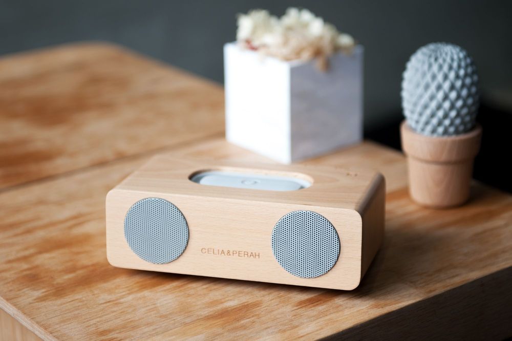 Enceintes et radios - CELIA & PERAH _ DIY Bluetooth Radio - CELIA & PERAH