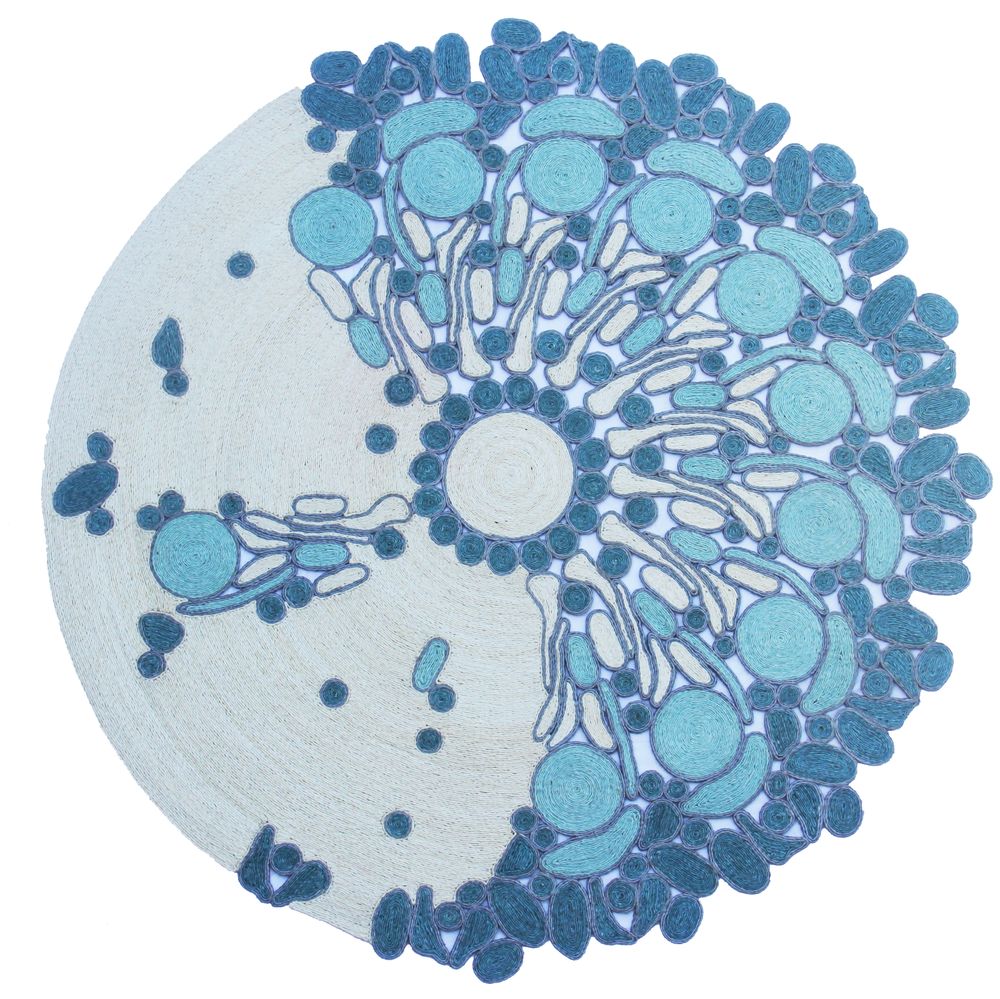 Tapis design - Peacock Tapis - GASY RUG